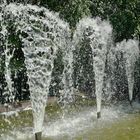 drei Springfontänen der Wasserwand  aus dem Ohmi-No-Niwa Garten in Würzburg