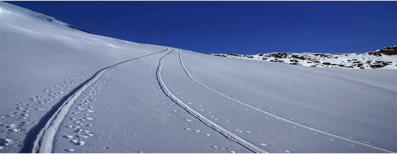 Drei Spuren im Schnee ...