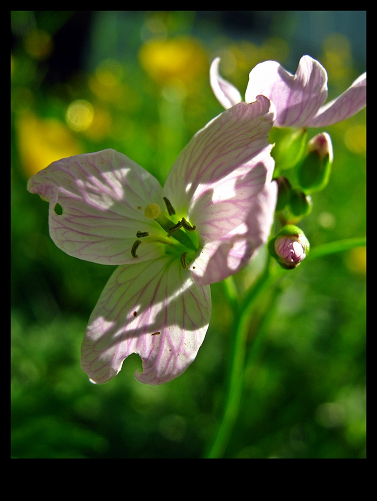 . Drei Tage Auszeit .