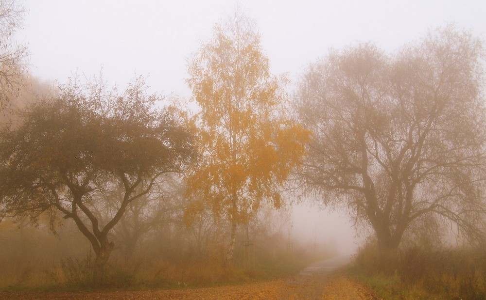 drei Weggefährten im Nebel