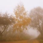 drei Weggefährten im Nebel