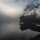 Drei Weihern bei Nebel