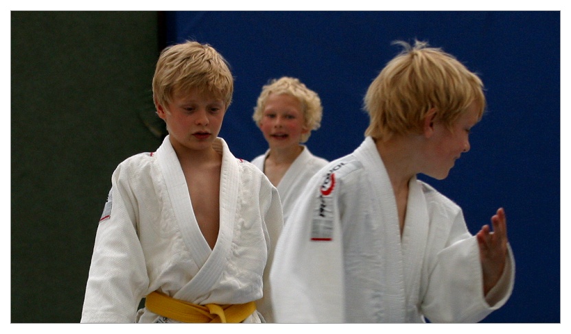 drei weisse Judoka