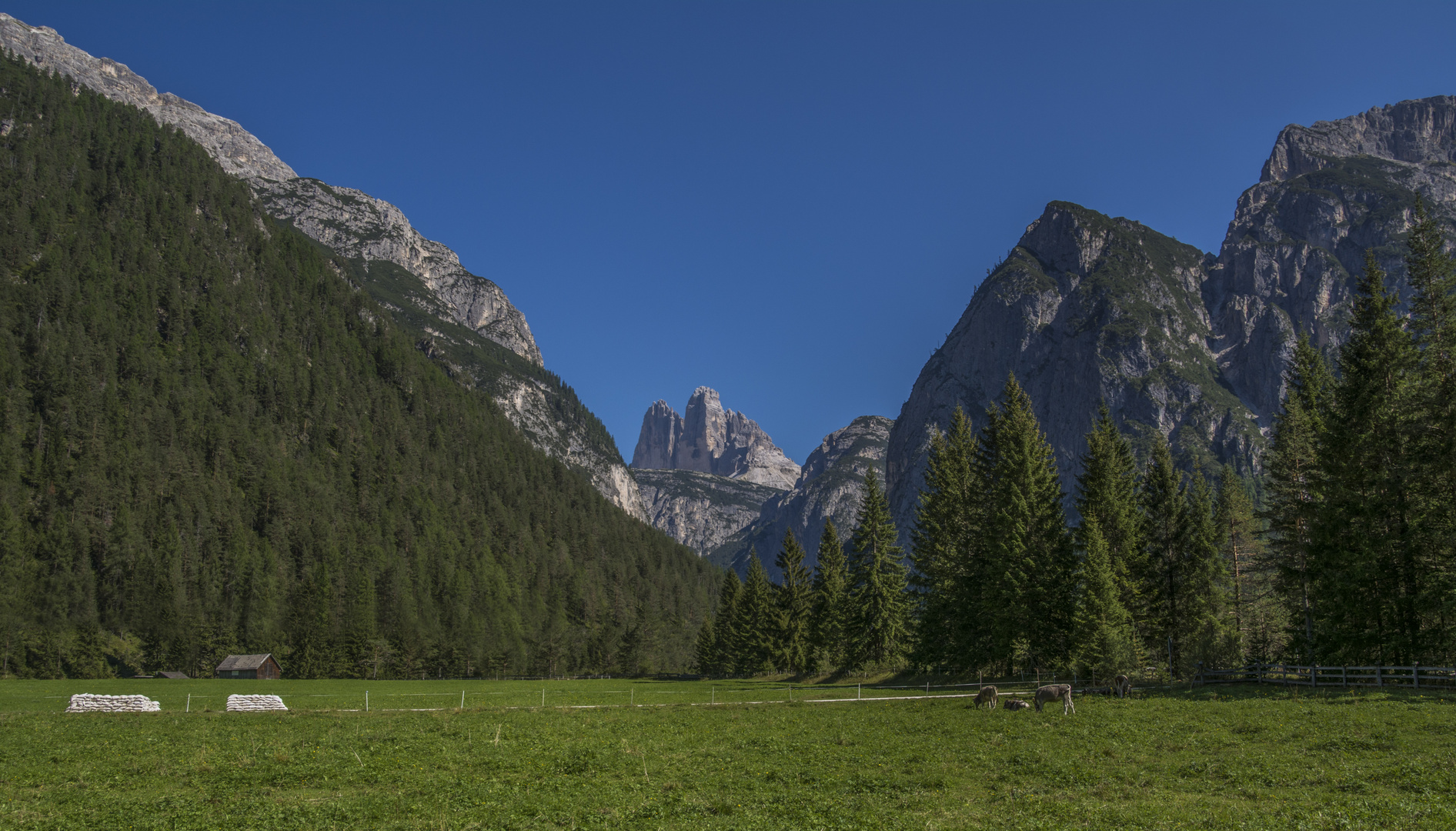 Drei Zinnen Blick