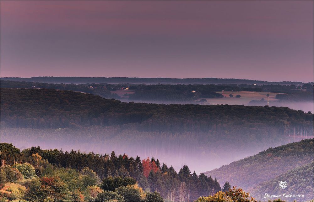 Dreiborner Höhe