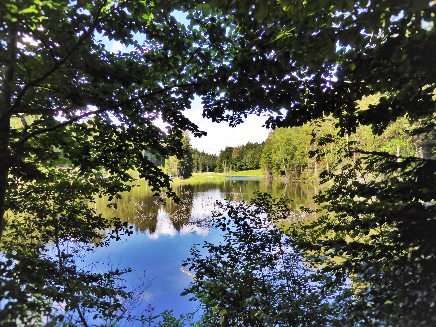 Dreiburgensee