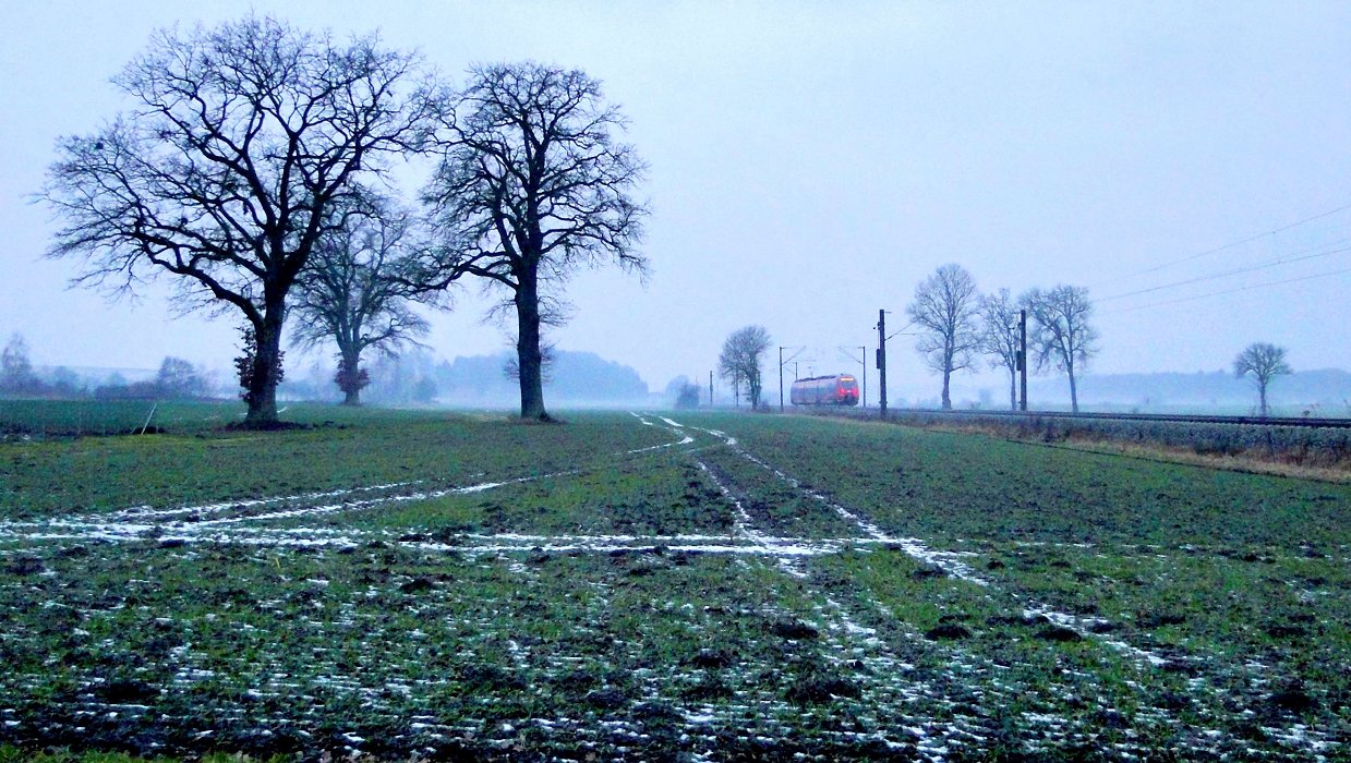 Dreiecke zeichnen