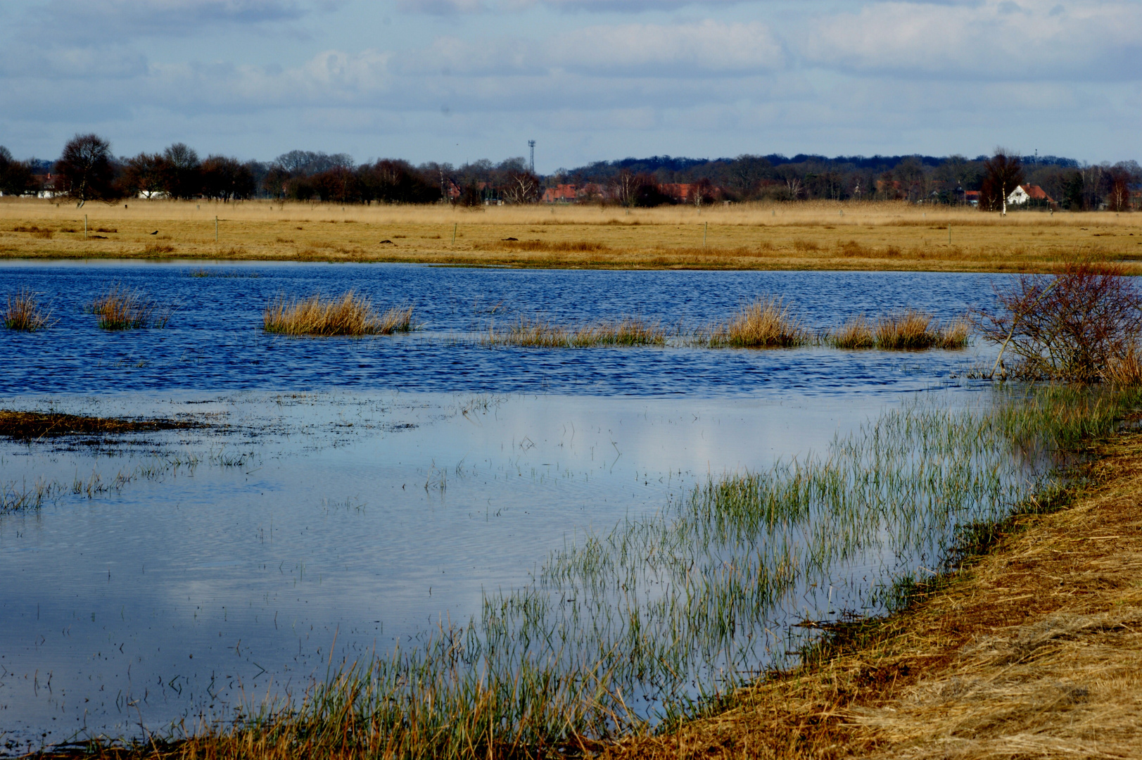 Dreiecks- Teich