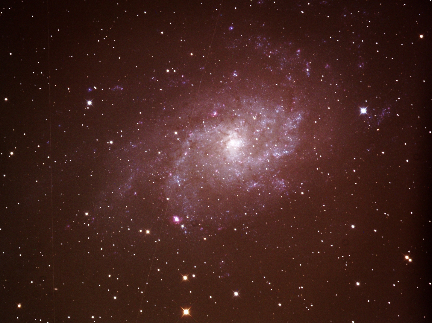 Dreiecksnebel, Messier 33 oder NGC 598, im Sternbild Dreieck