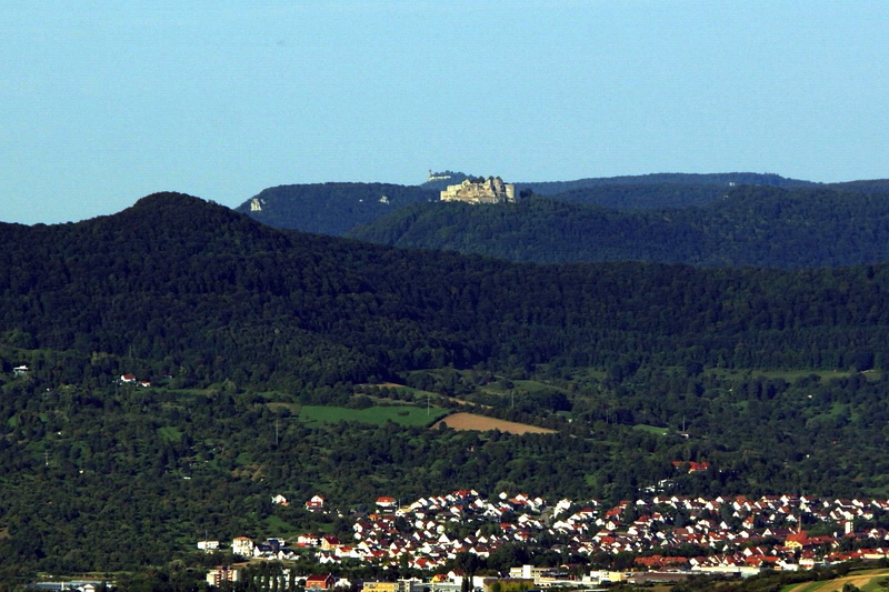 dreier Zusammenhalt und ein bewaldeter Zaungast