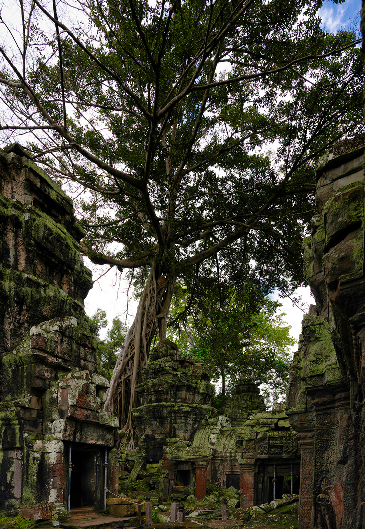 Dreierlei Tempel: Ta Prohm