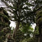 Dreierlei Tempel: Ta Prohm