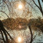 Dreifach gespiegelte Herbstsonne - Sieglarer See - 2022