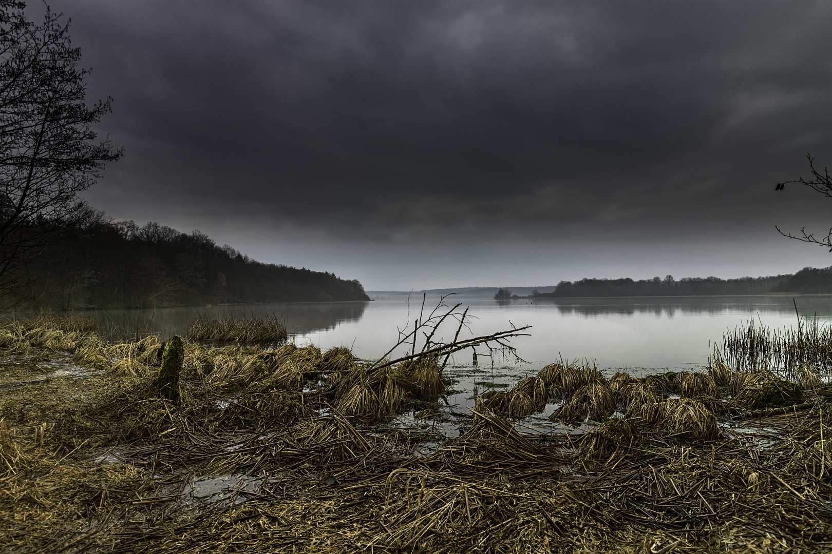 Dreifelder Weiher