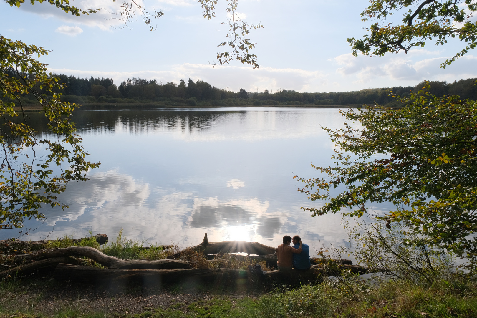 Dreifelder Weiher