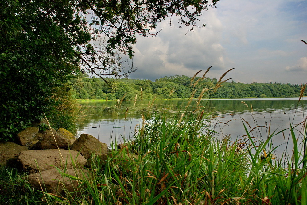 Dreifelder Weiher Foto & Bild landschaft, bach, fluss & see, see