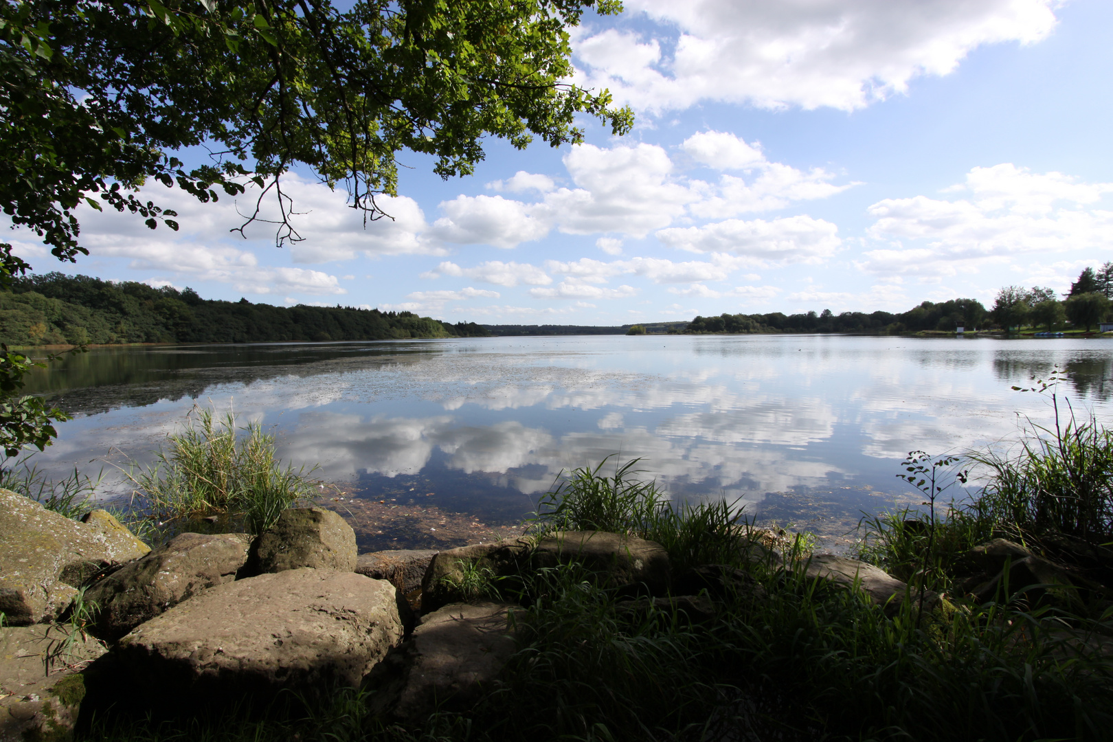 Dreifelder Weiher