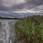 Dreifelder-Weiher im Westerwald