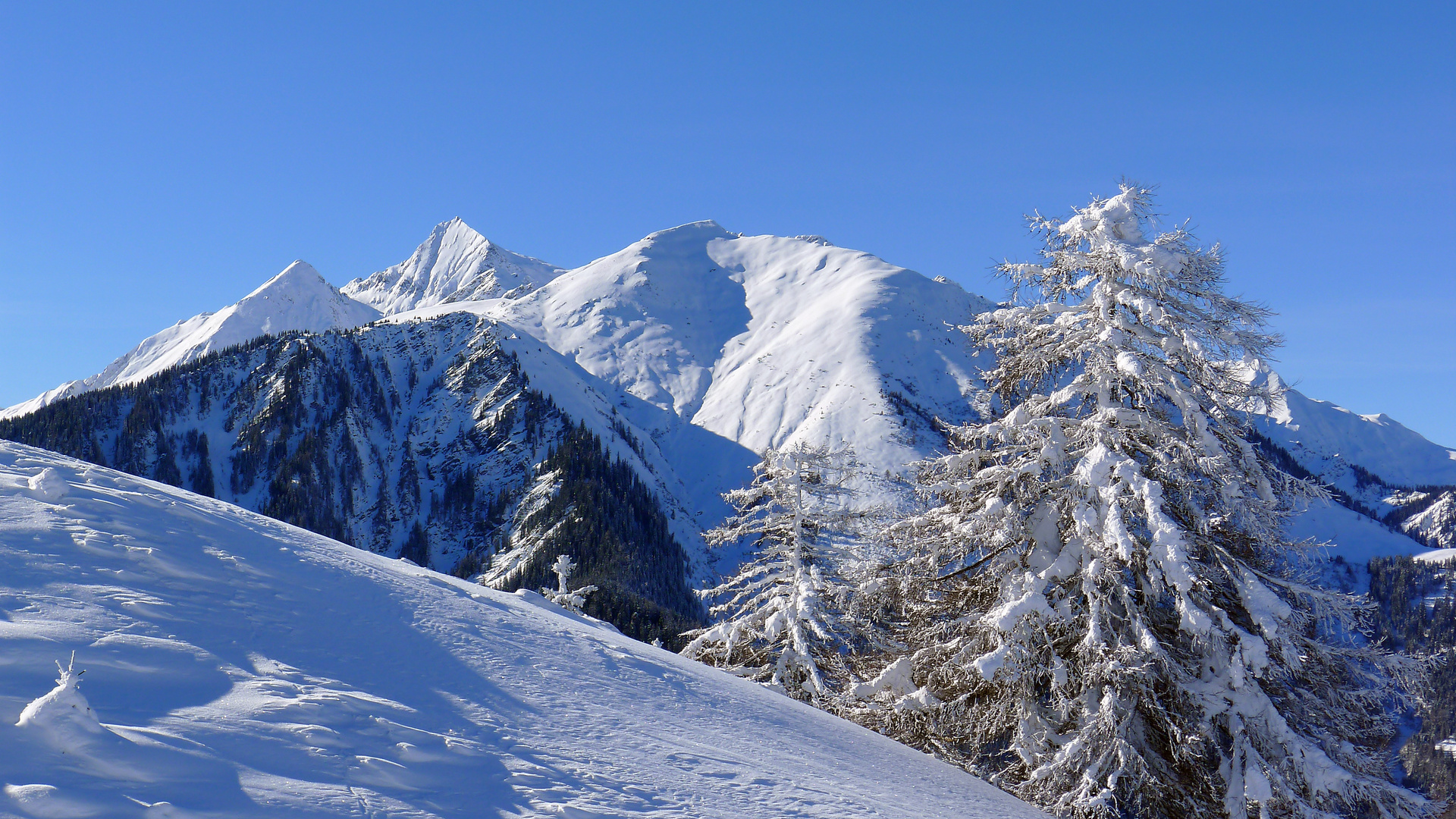 Dreigestirn