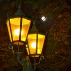 Dreigestirn: Wer leuchtet heller? - Vollmondnacht im Kurpark von Bad Neustadt