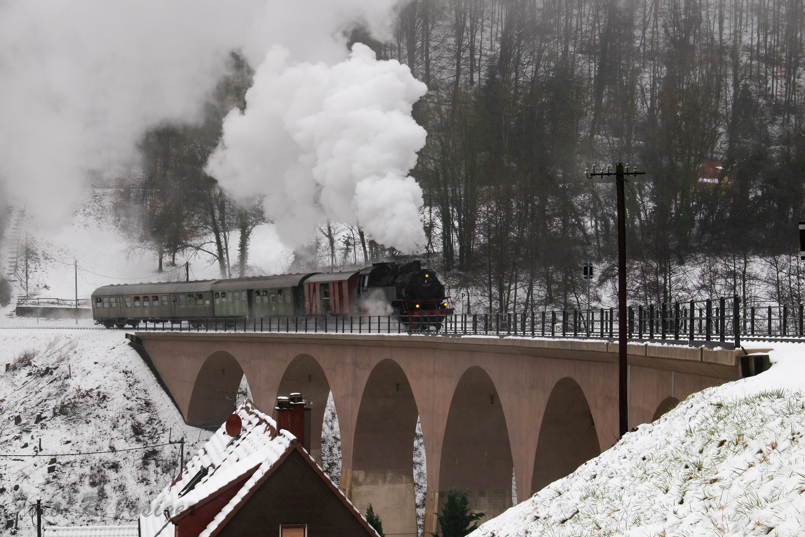 Dreikönigsdampf auf der Schwäbischen Waldbahn