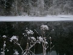 Dreikönigstag im Schweizer Jura