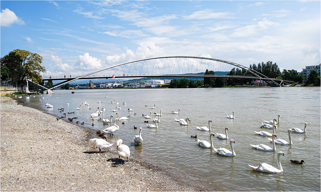 " Dreiländerbrücke "