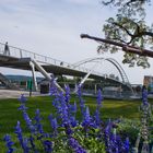 Dreiländerbrücke in Weil amRhein