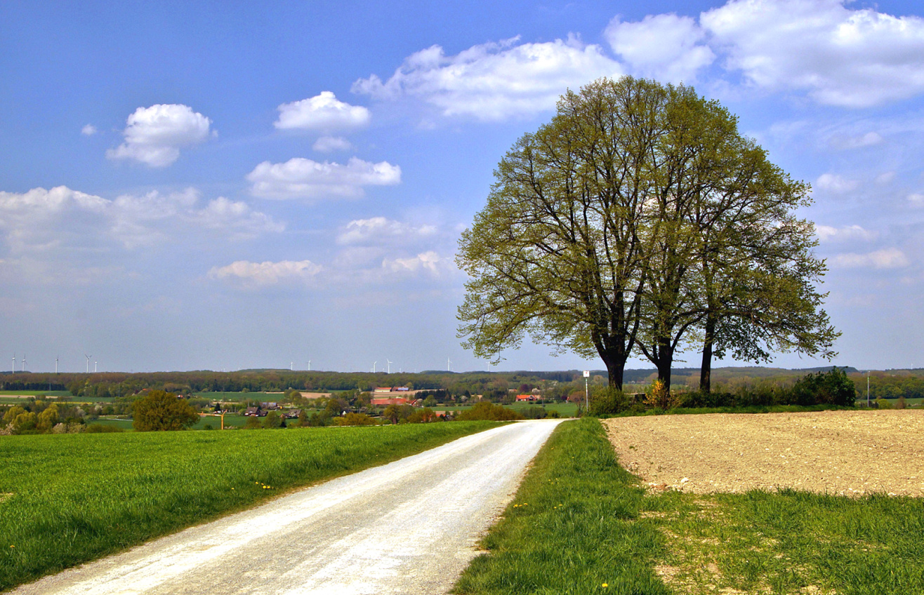 Dreilindenhöhe,...