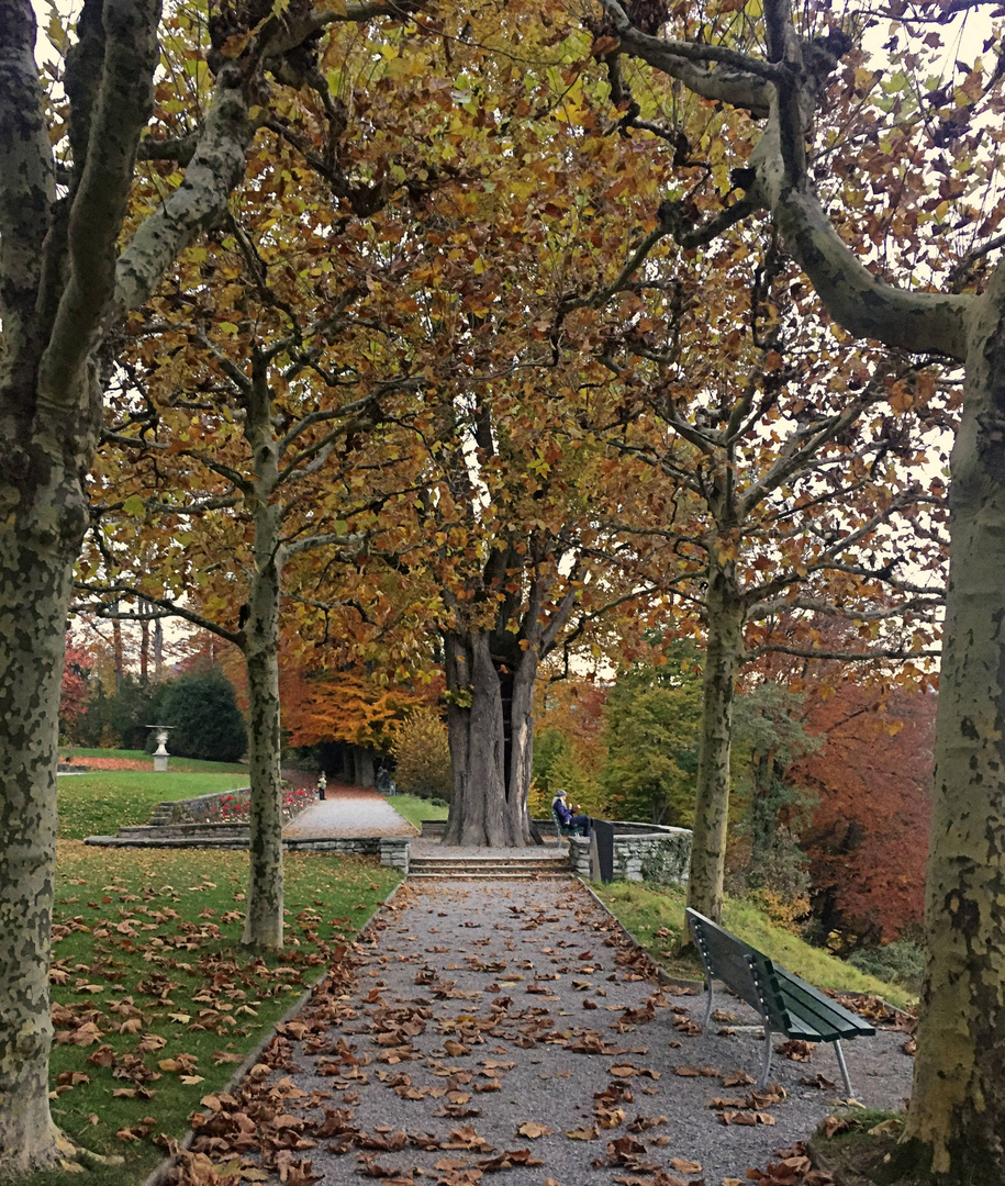 Dreilindenpark über Luzern ...