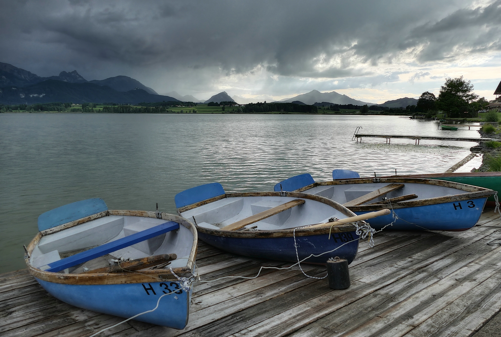 Dreimal Blau, einmal Grün