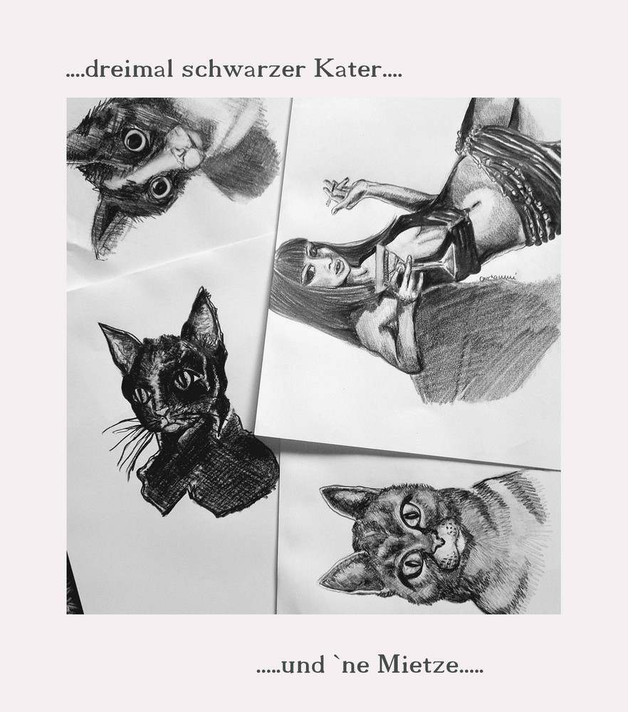 - Dreimal schwarzer Kater.....