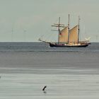 Dreimast-Gaffelschoner mit Rahsegeltakelage am ersten Mast auf der Außenelbe ...