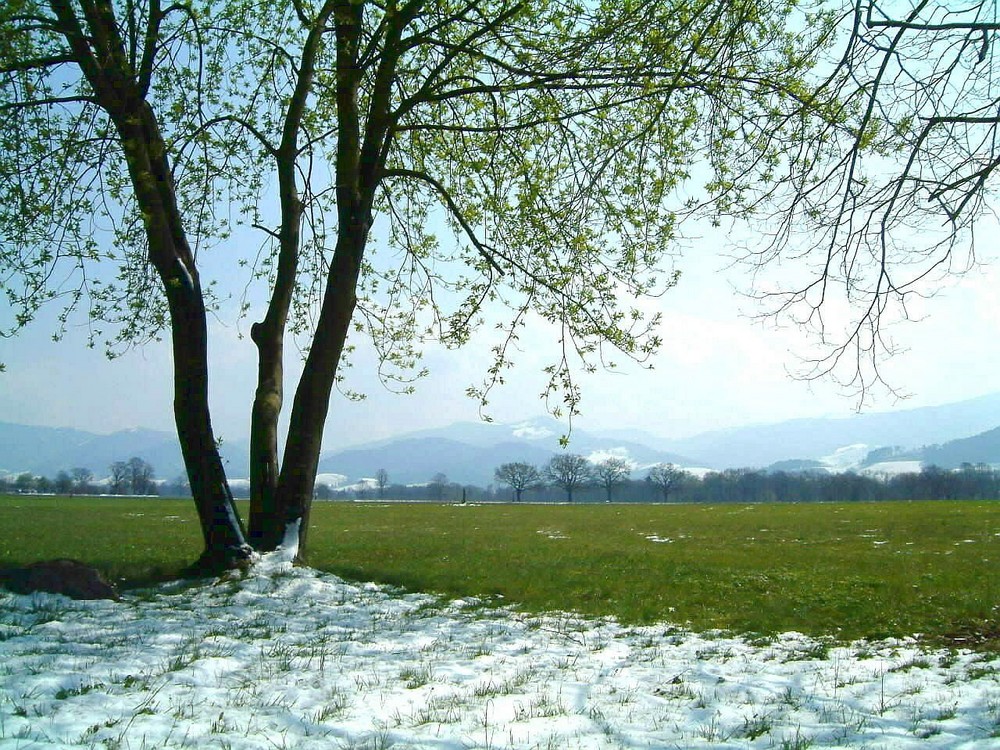 Dreisamtal-Frühling