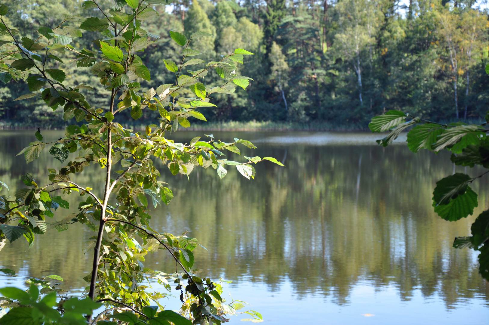 Dreisee in Brandenburg 3