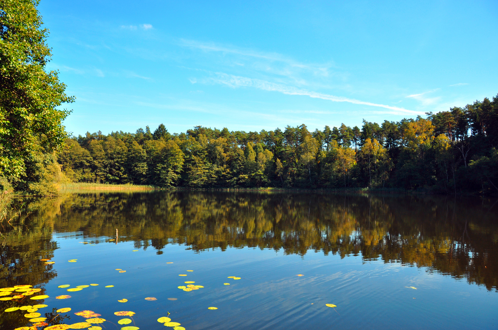 Dreisee in Brandenburg 4