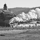 Dreiseenbahn Dampfzug am Bahnhof Schluchsee s/w