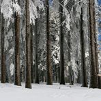 Dreisesselberg Eingefroren