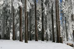 Dreisesselberg Eingefroren