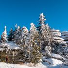 Dreisesselberg in leichtem Winterkleid 