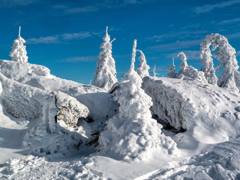 Dreisesselberg Winter 2