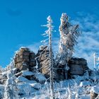 Dreisesselberg Winter 3