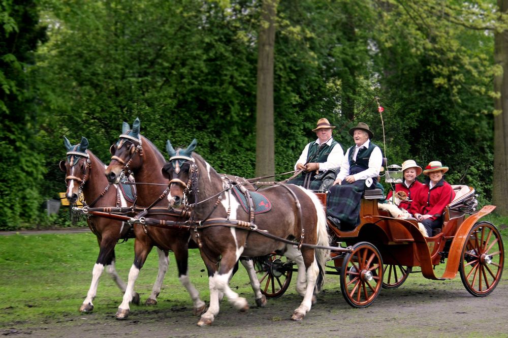 Dreispänner Foto & Bild reportage dokumentation, events, motive