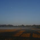 dreiviertelmond über stoppeln