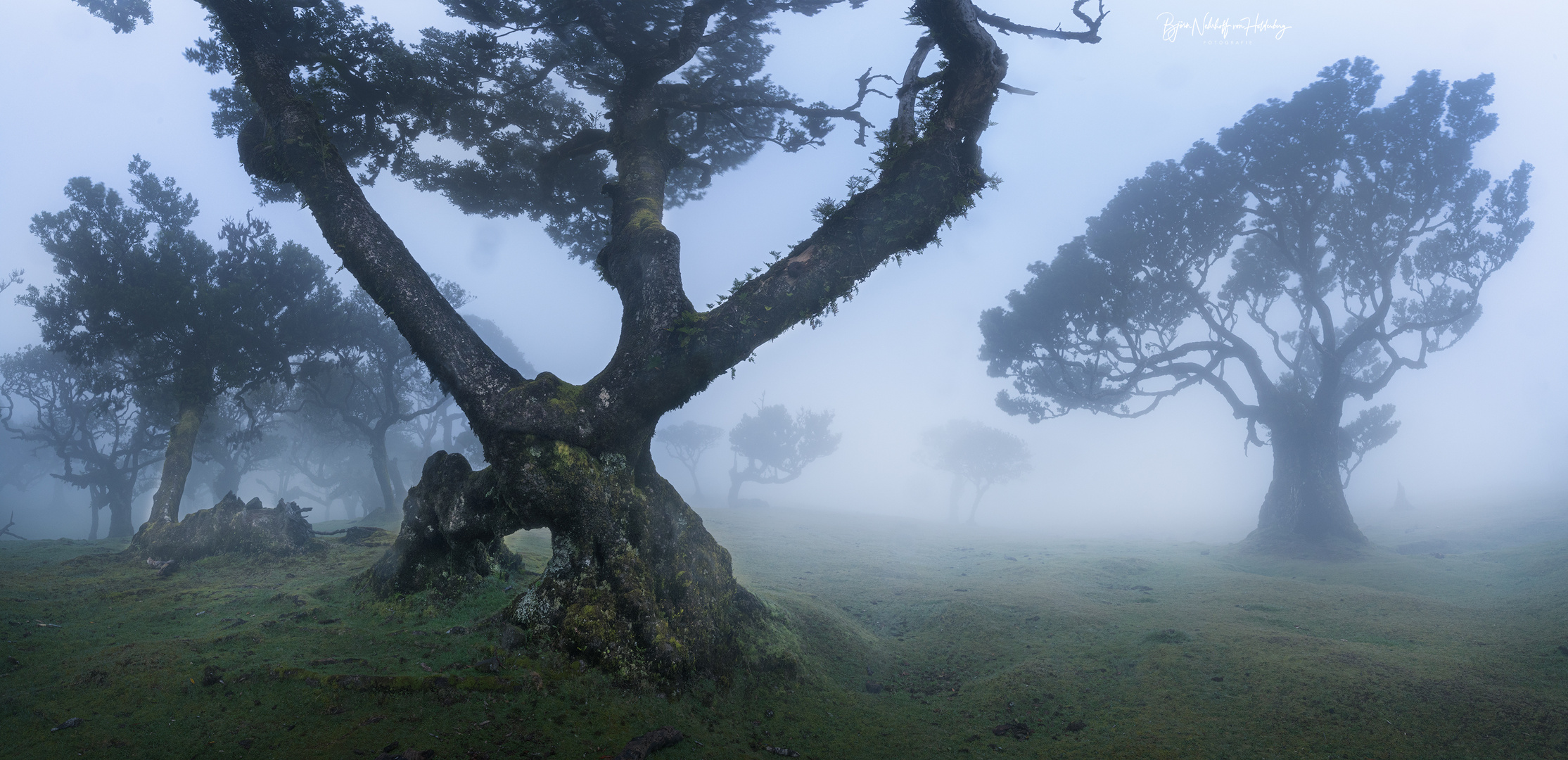 Dreizack im Nebel