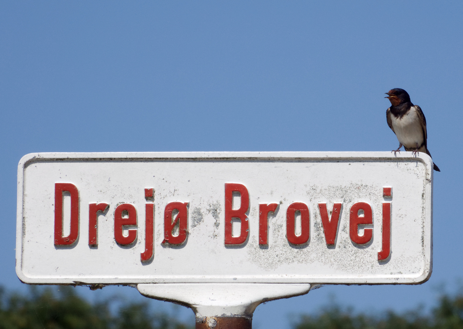 Drejö Brovej ( Drejö Dänemark  )