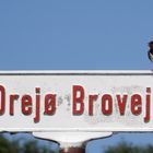 Drejö Brovej ( Drejö Dänemark  )