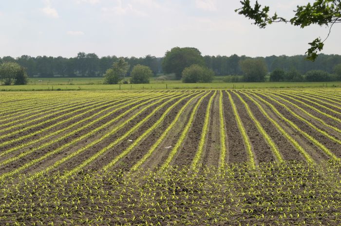 drenthe-Westerbork