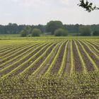 drenthe-Westerbork