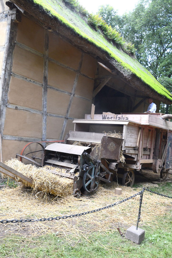 Dreschen wie früher am Tag der Ernte im Freilichtmuseum Kommern